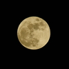 Golden Moon