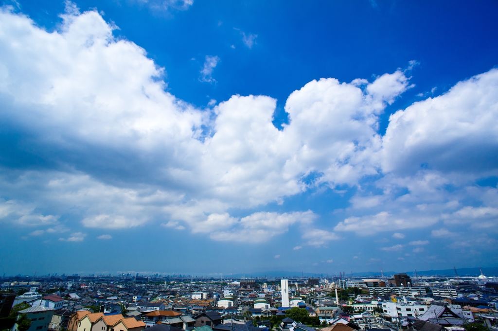 Osaka basin