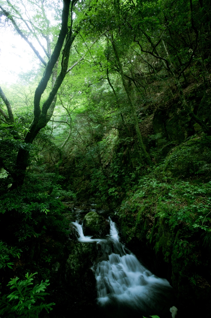 Minoo small waterfall