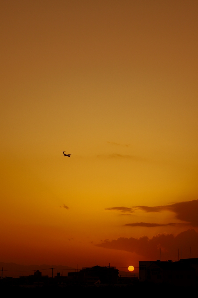 夕日に向かって