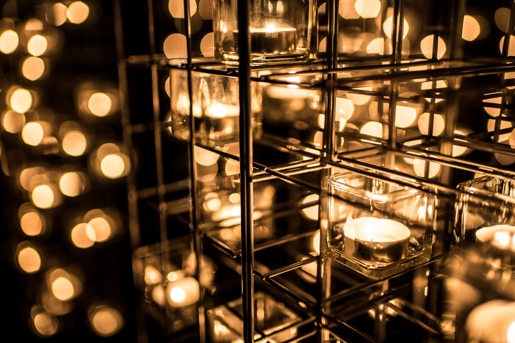 Candle Night  "Jungle gym"