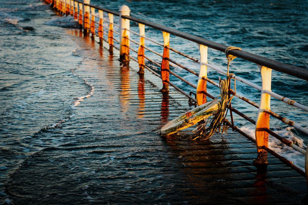 Water's Edge