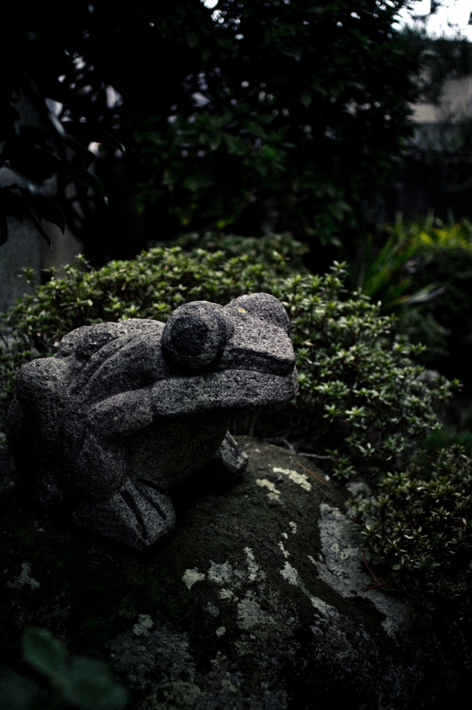 Stone frog