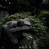 Stone frog