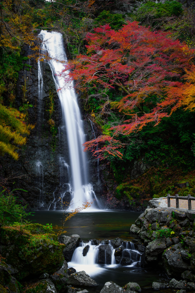 Autumn colors "Minoo Waterfall"