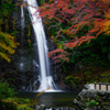 Autumn colors "Minoo Waterfall"