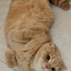 Pretty pose