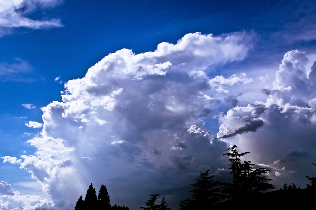 Premonition of the storm