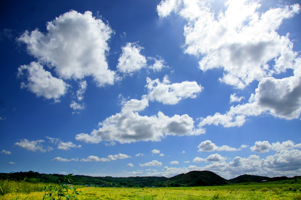 青空