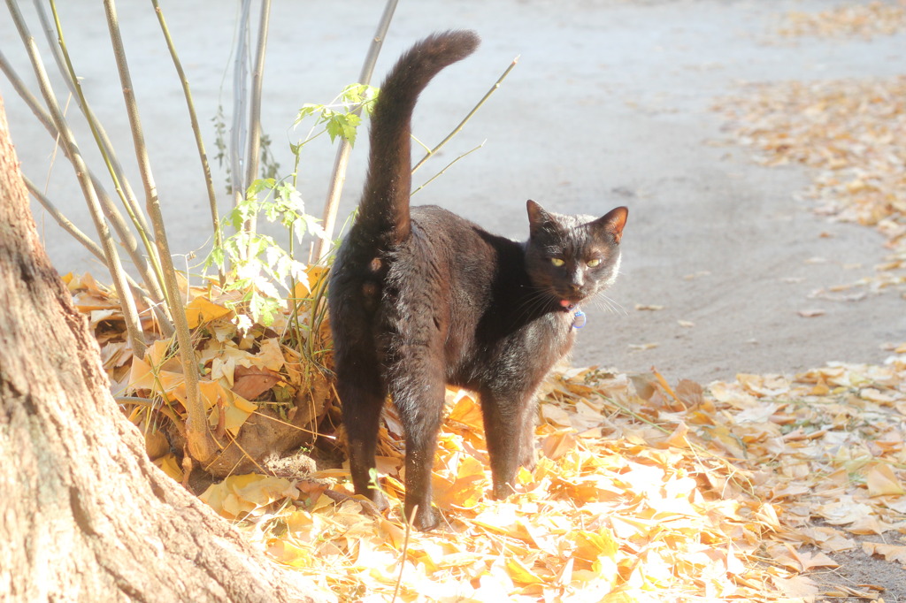 また、遊ぼうね