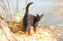 また、遊ぼうね