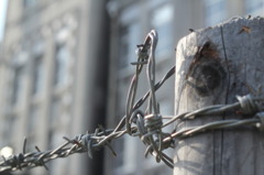 閉鎖された校舎