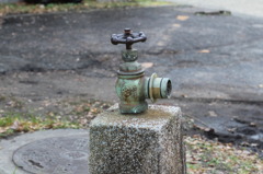 消火活動で活躍？