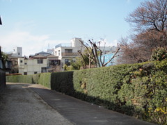 垣根のむこうと路と