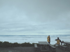 雲海