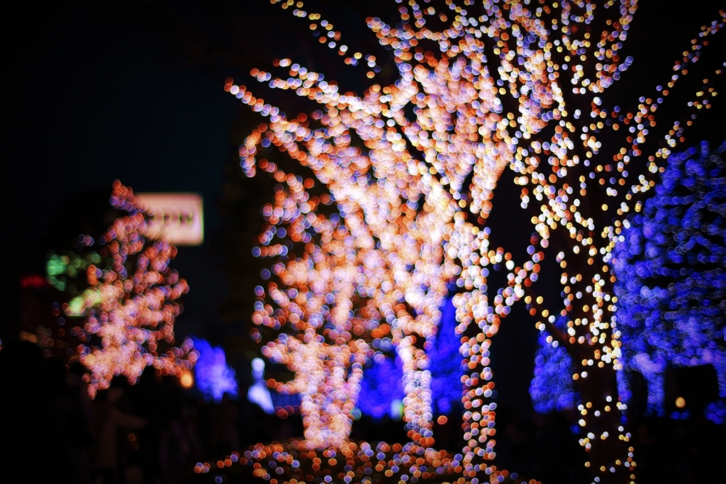 表参道クリスマス
