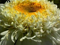 20101221235417