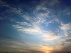 20101221235418