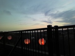 20101221235429_0001