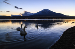 Swan lake under Mt. Fuji