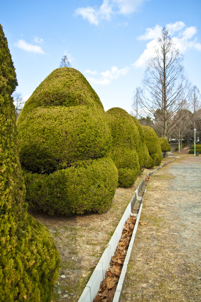 南千里公園