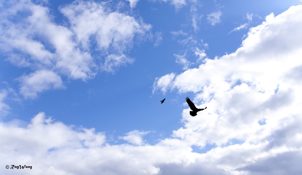空
