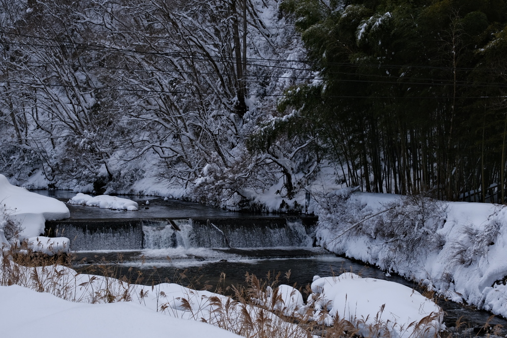 雪化粧
