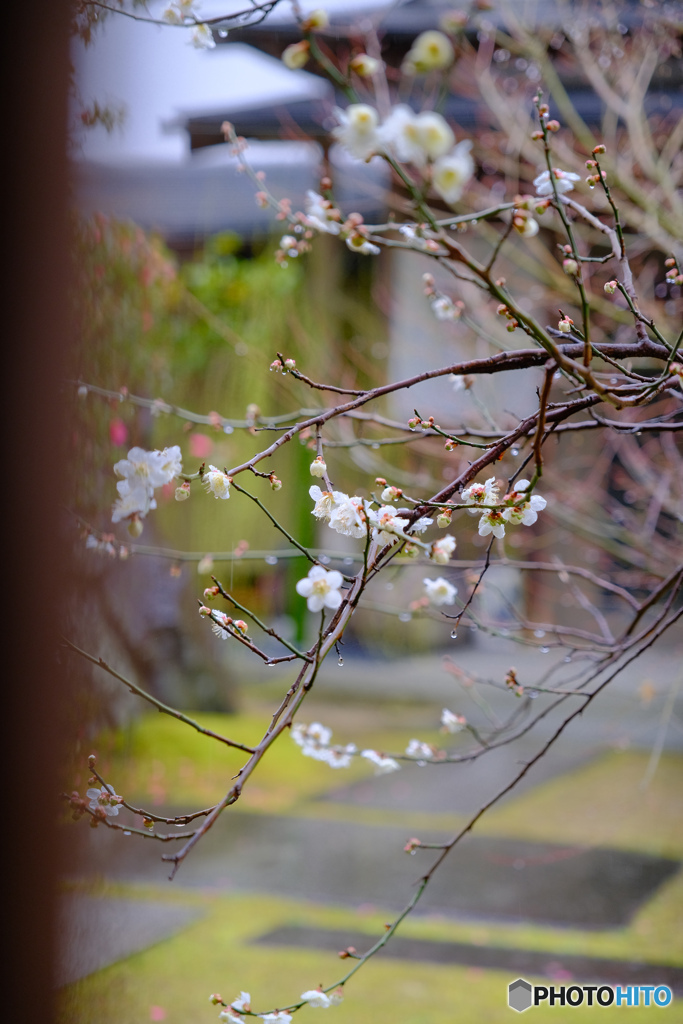 そっと… (弐)
