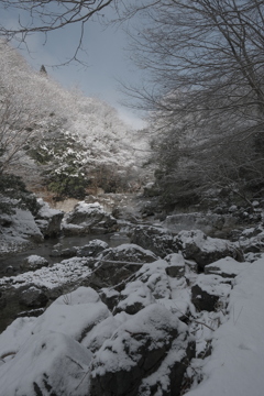 雪化粧