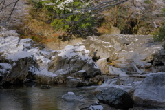 朝日差す束の間