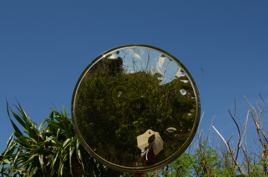 self portrait