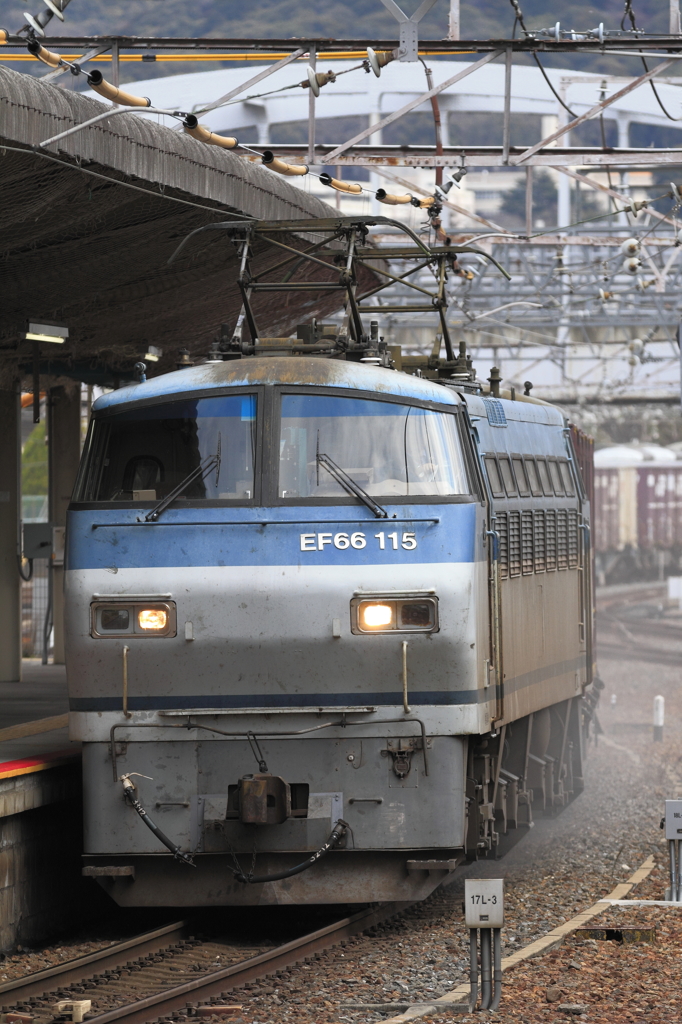 1/26 遅5081レ EF66-115(吹)