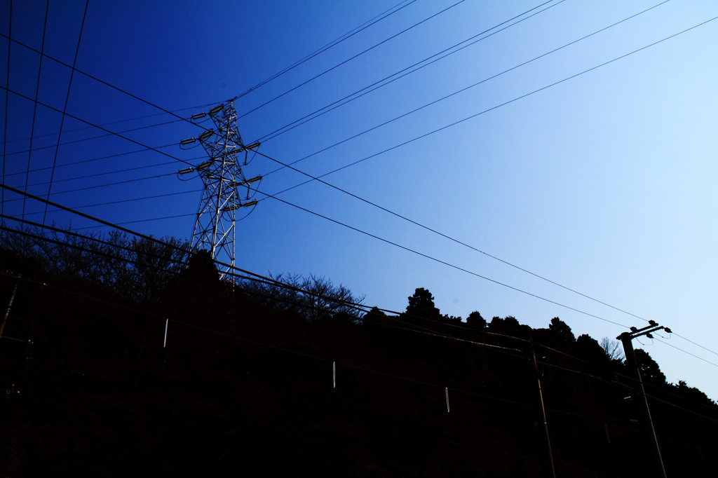 Electric wires