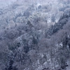 雪化粧
