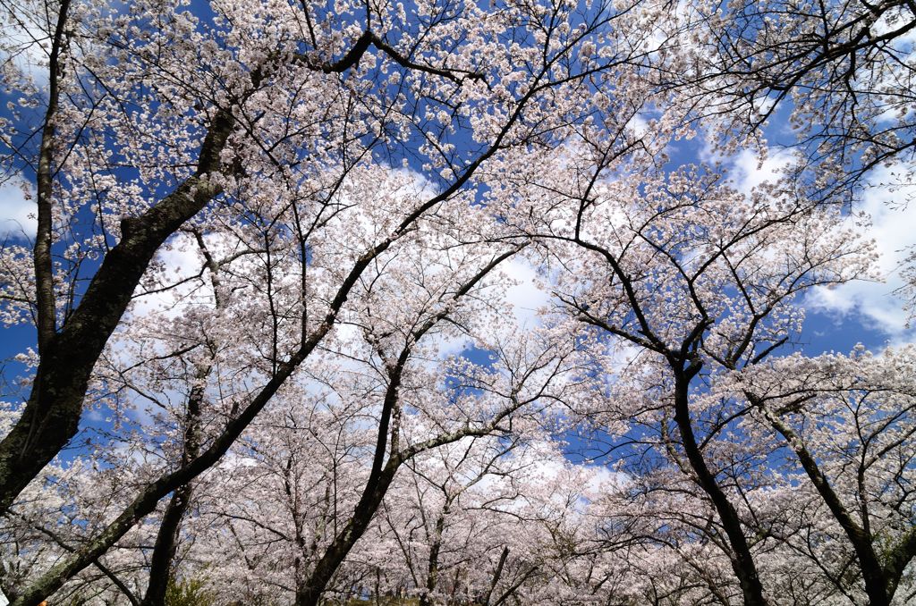 山頂から空を