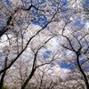 山頂から空を