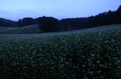 夕暮れの中山高原