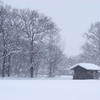 １月１７日（雪）