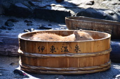 伊東温泉