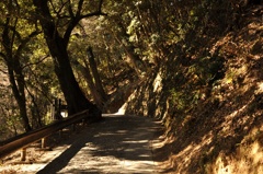 高尾山登山道その１