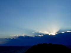 光