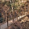 吊り橋