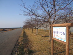 つつみ、いいね。