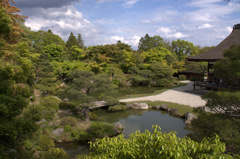 仁和寺庭園