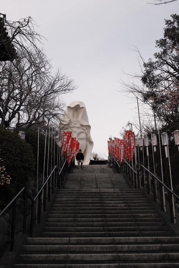 おや、あれに見えるは…