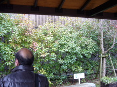 ノックは無用。