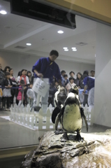 宮島水族館