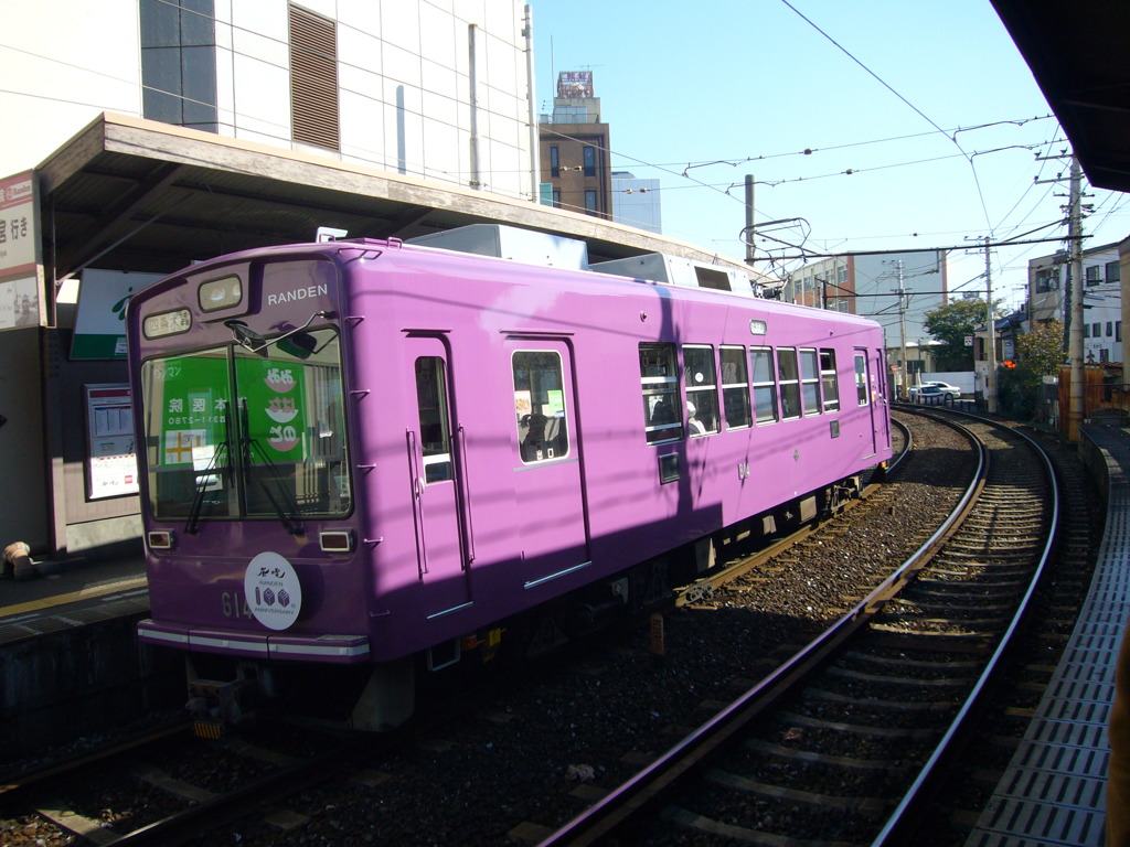 嵐山で見つけた、紫芋。