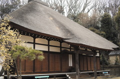 いい茅葺具合