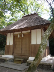 木が邪魔して・・